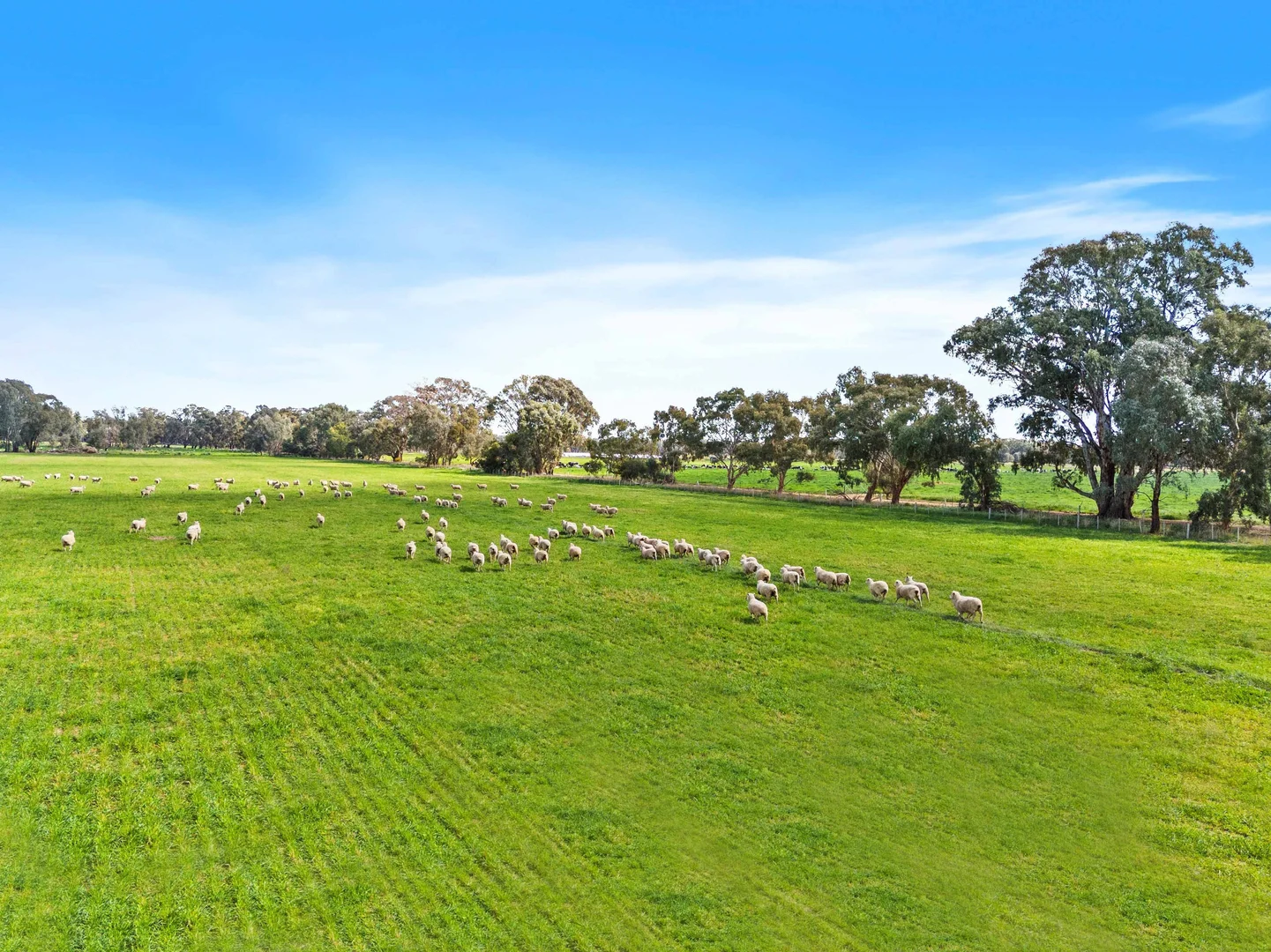 Additional image 2 of Pinewood, 870 Walshs Bridge Road, Kaarimba VIC 3635