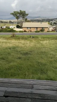 Additional image 5 of 35 Scott Street, Tenterfield NSW 2372