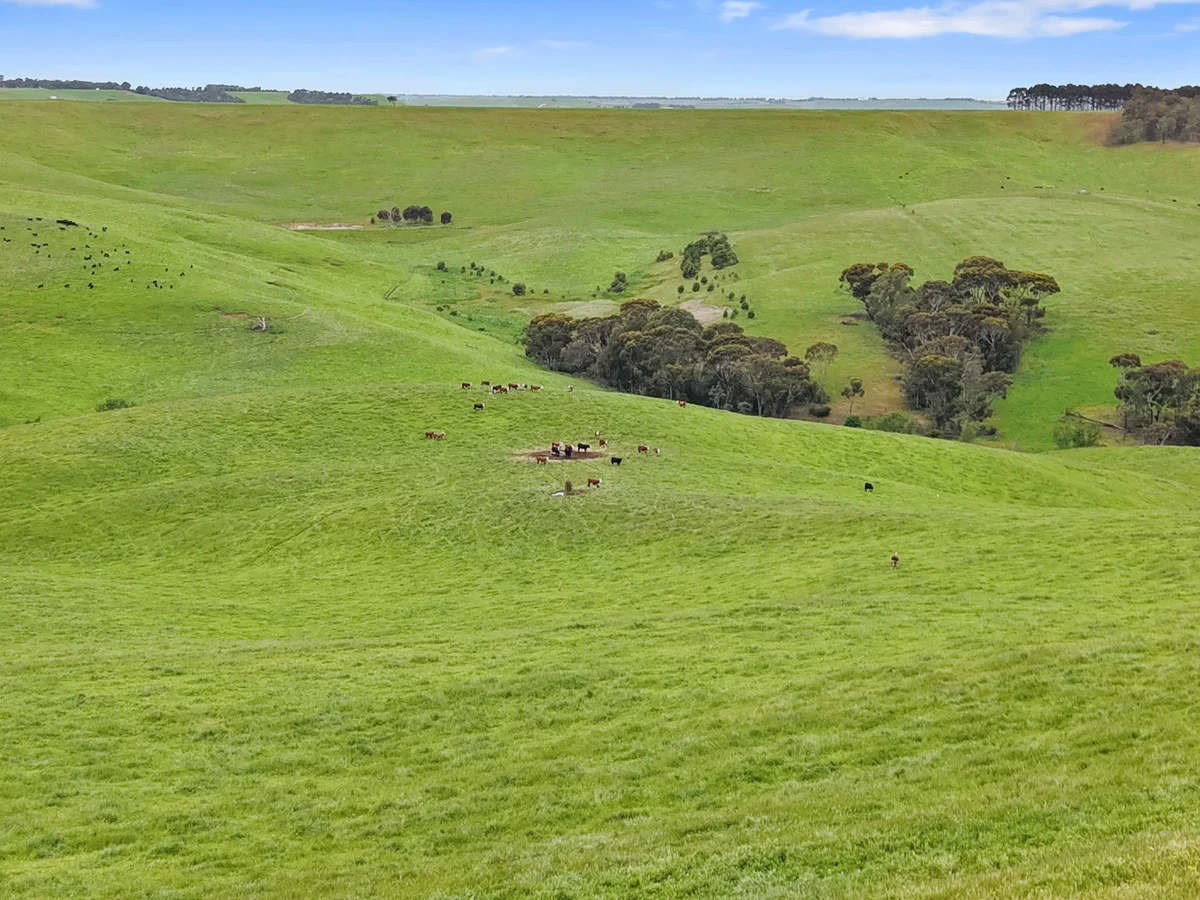 Additional image 26 of 64 Ford Luers Road, Casterton VIC 3311