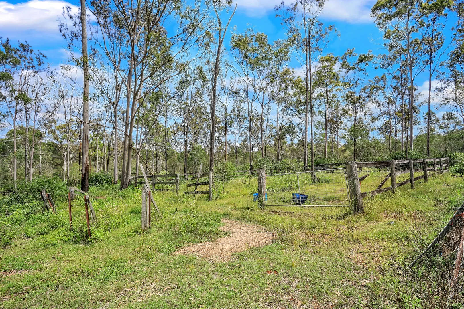 Additional image 13 of 738 Tableland Road, Horse Camp QLD 4671