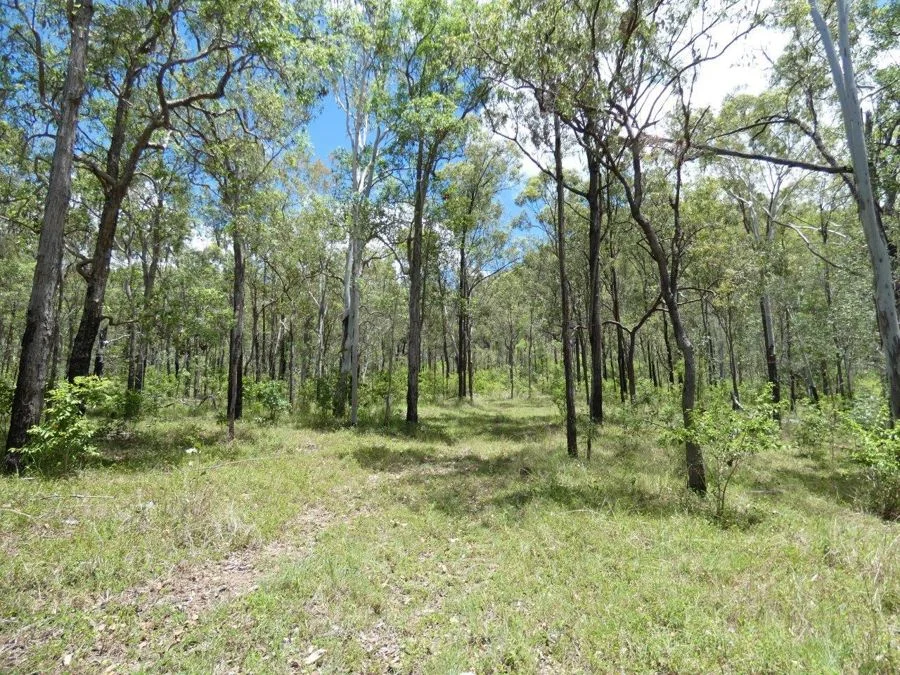 Additional image 32 of 277 Bushlands Road, Bororen QLD 4678