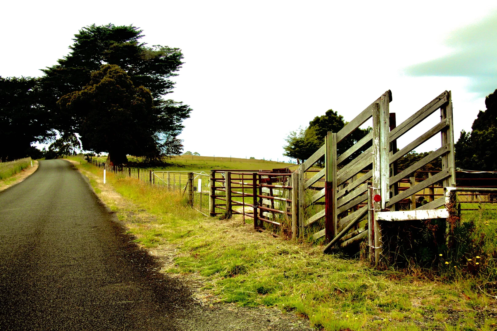 Additional image 20 of 470 Allison Rd, North Motton TAS 7315