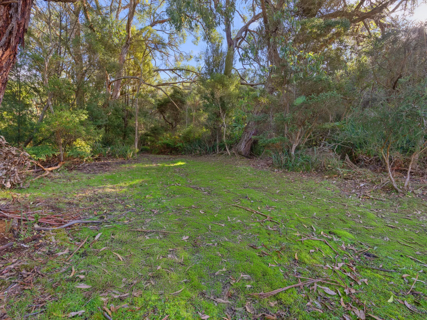 Additional image 6 of 15 Caringal Street, Waratah Bay VIC 3959