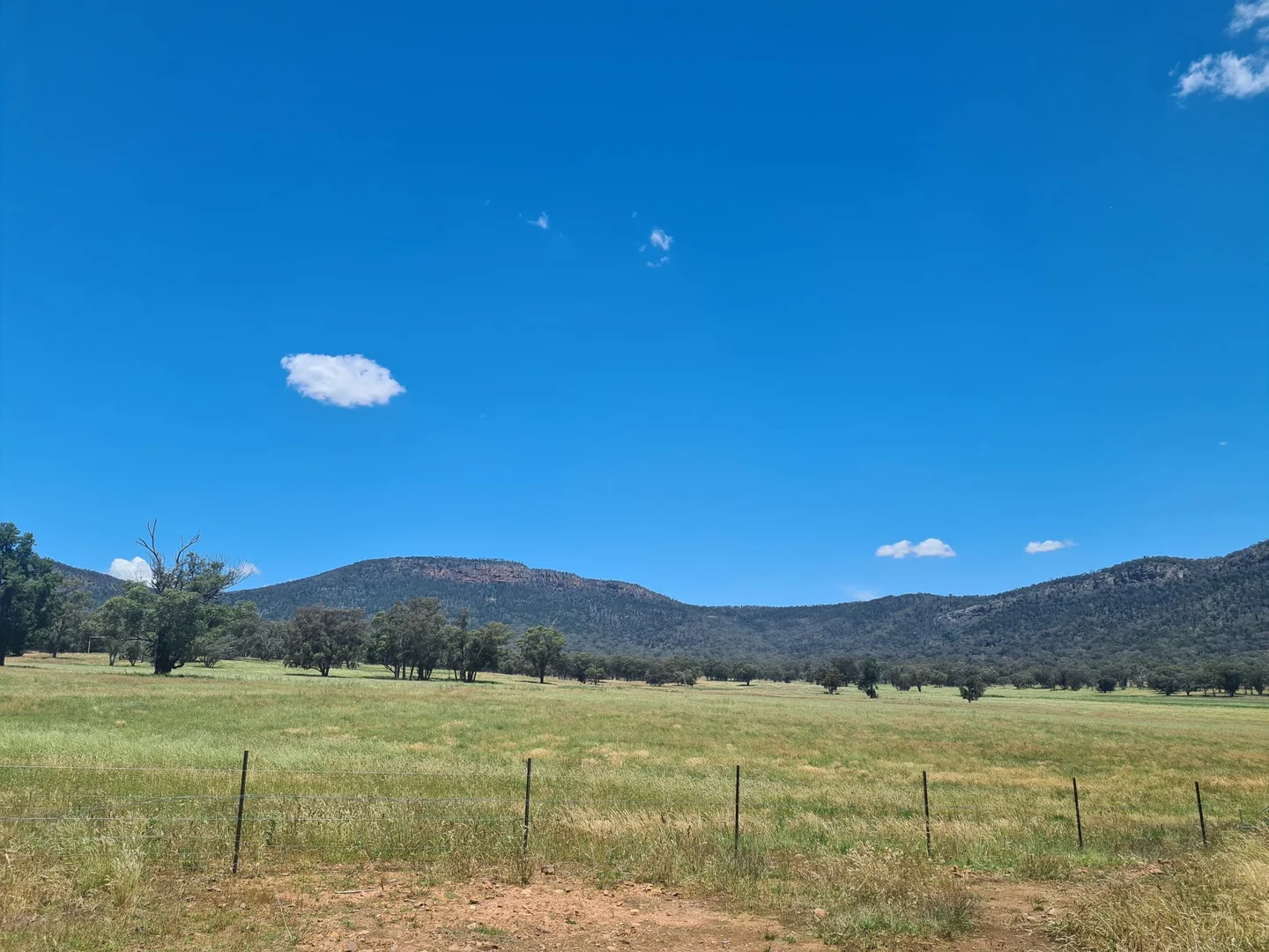 Additional image 25 of "Nangar Valley" 223 Rodwells Road, Murga NSW 2864
