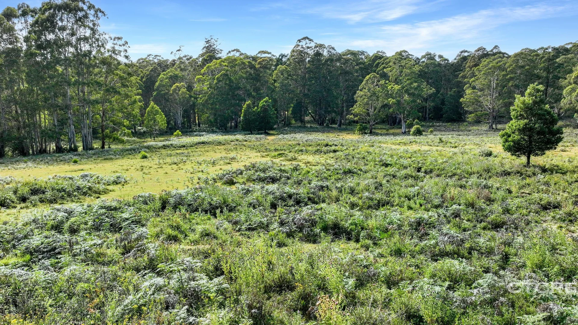 Additional image 6 of 12F & 12G Minchins Track, Bonang VIC 3888