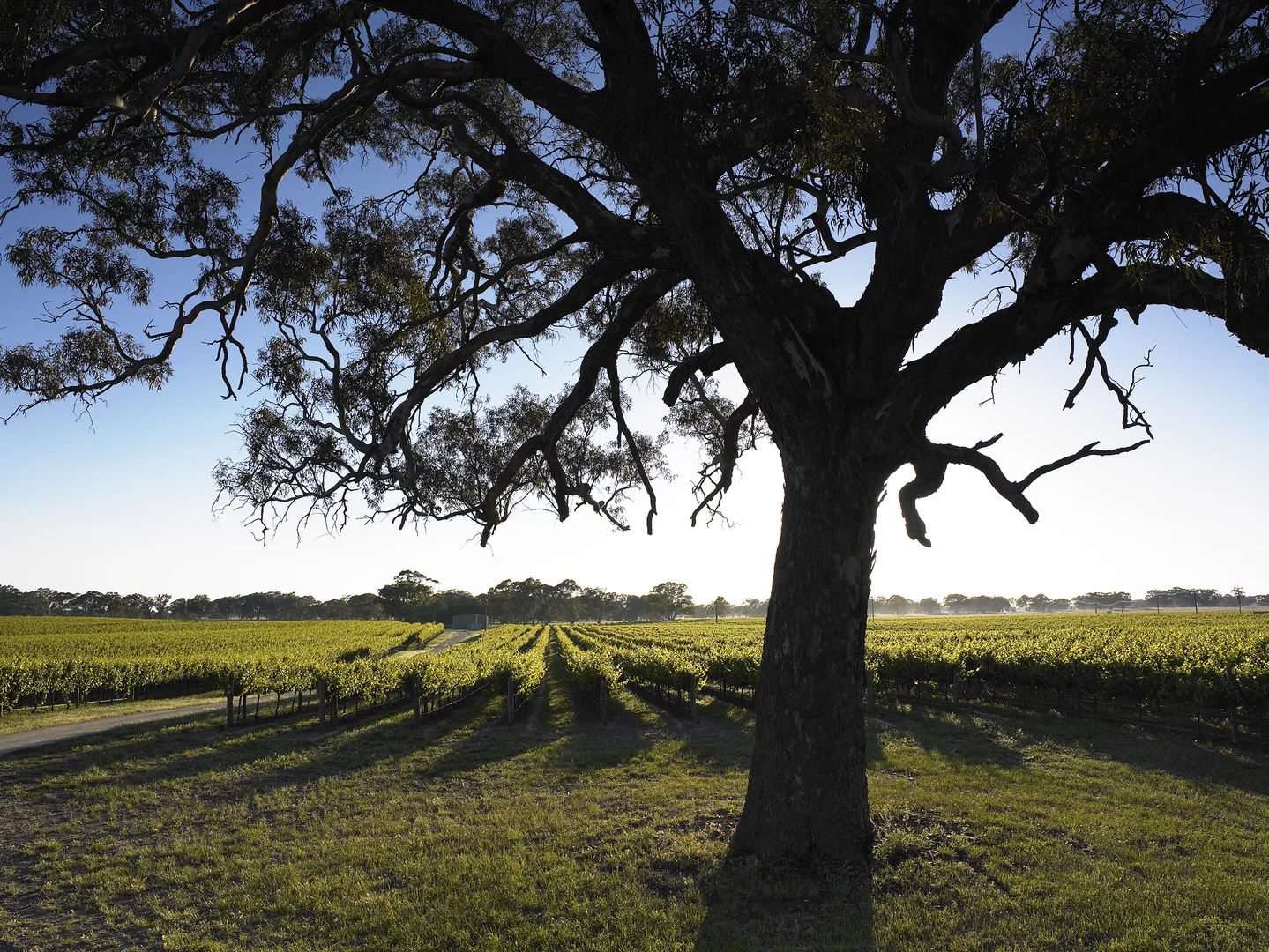 Additional image 13 of Nolans Road, Hynam SA 5262