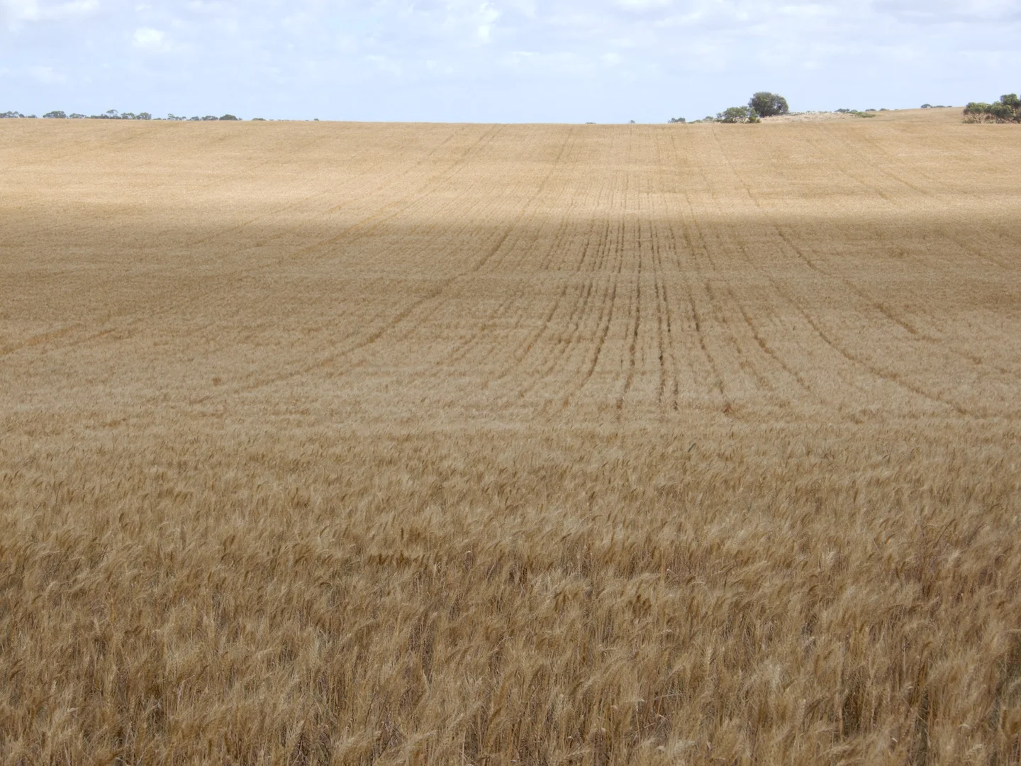 Additional image 20 of 33 Lutze Road, Coonalpyn SA 5265