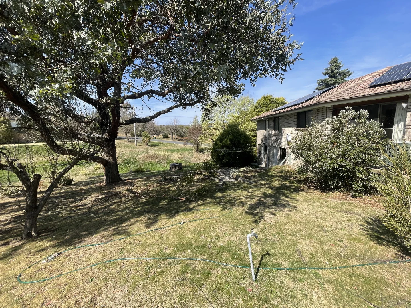 Additional image 5 of 55 Queen Street, Bombala NSW 2632