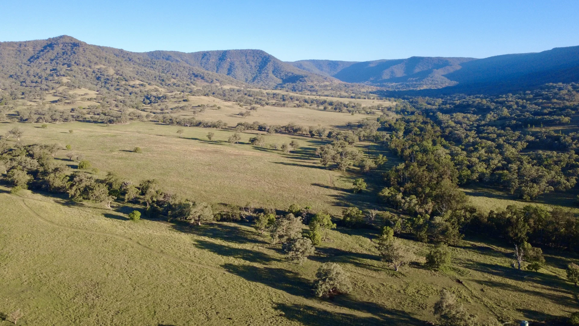 Additional image 4 of "Bindi" 1229 Bundella Creek Road Bundella Via, Quirindi NSW 2343