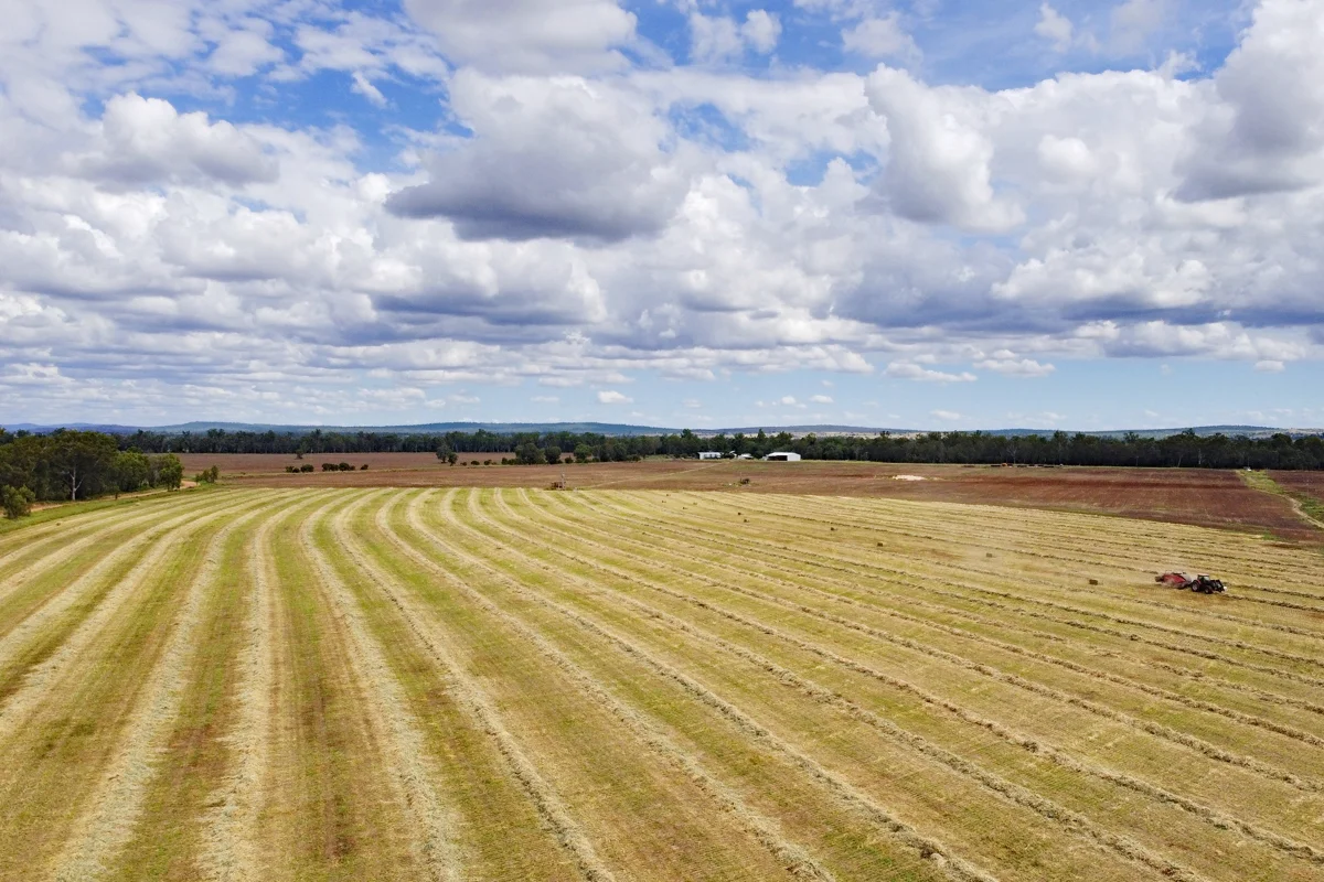 Additional image 4 of "Edenbelle" Lake Pleasant Road, Goovigen QLD 4702