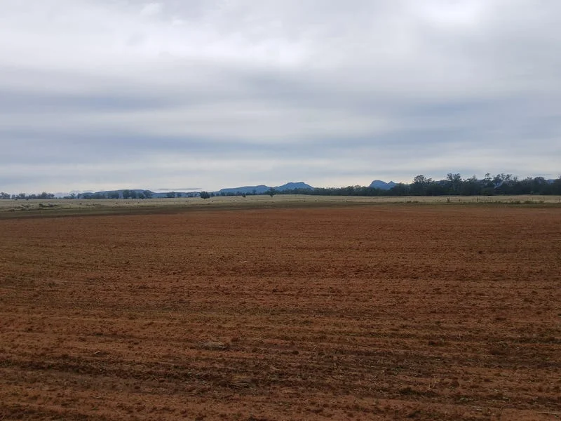 Additional image 13 of Tooraweenah NSW 2817