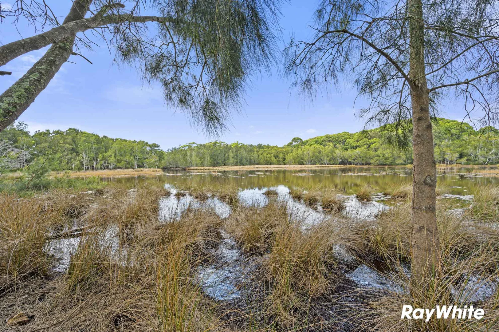 Additional image 28 of 7 Borang Street, Potato Point NSW 2545