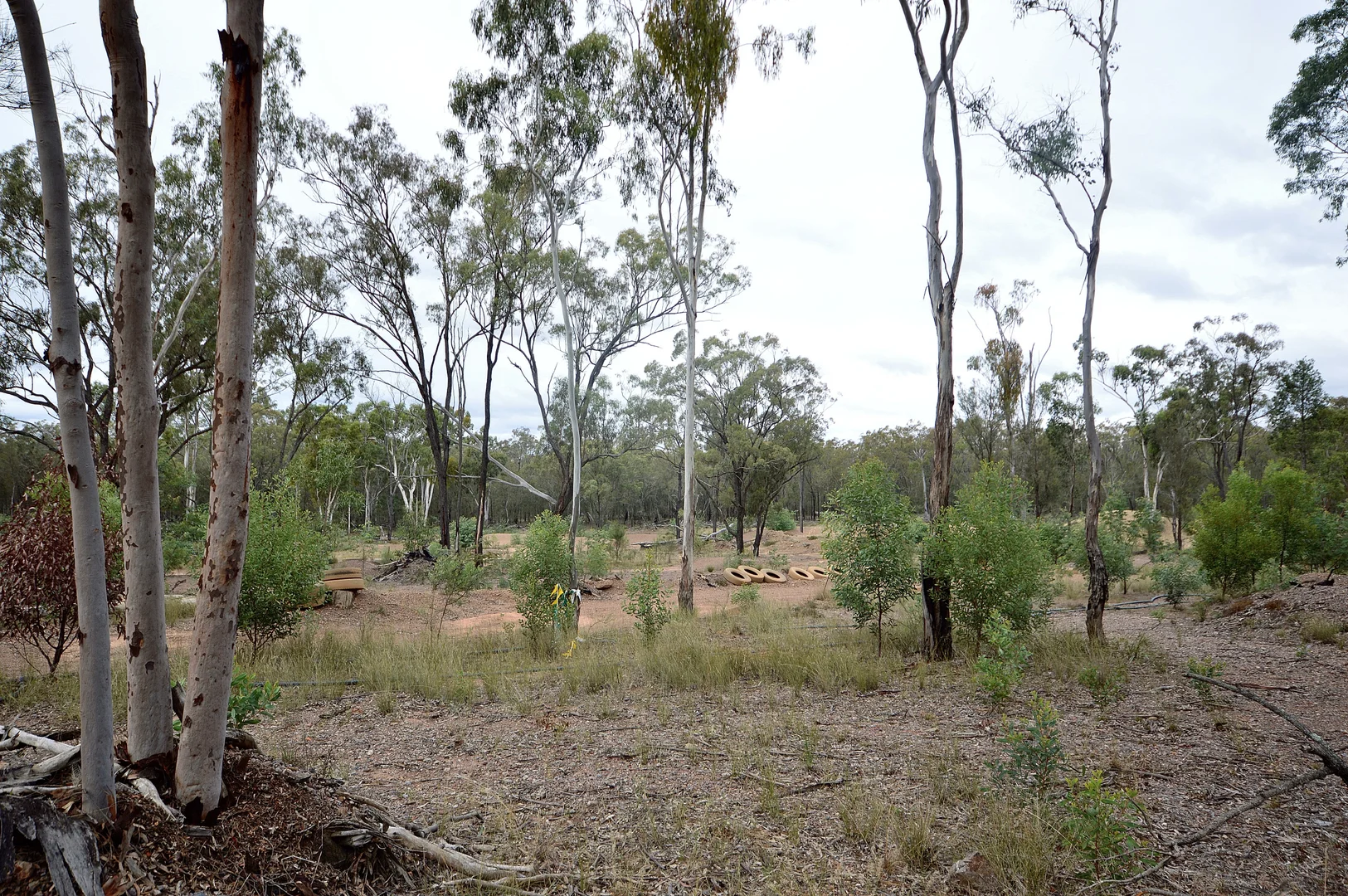 Additional image 29 of 298 Tralee Road, Pratten QLD 4370