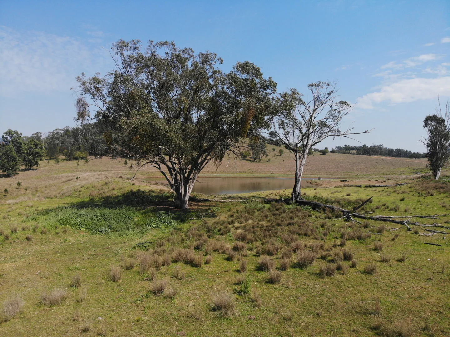 Additional image 6 of Riverview Road, Bingara NSW 2404