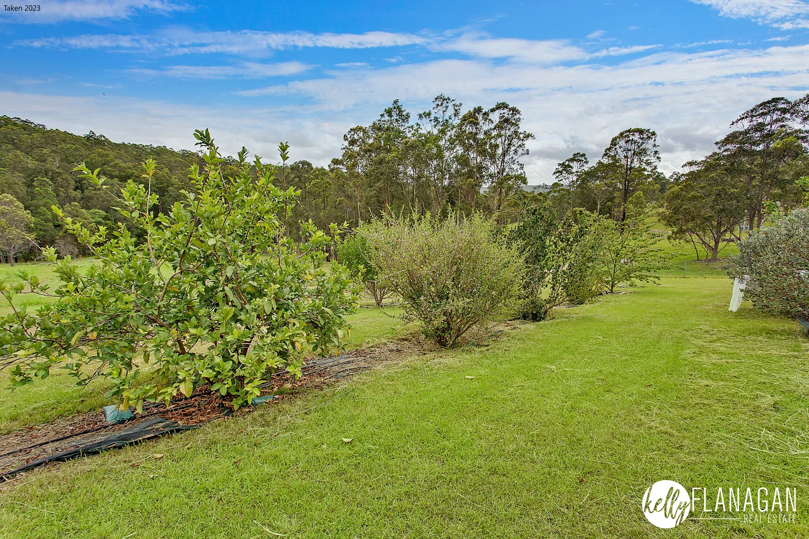 Additional image 20 of 136 Roses Road, Collombatti NSW 2440