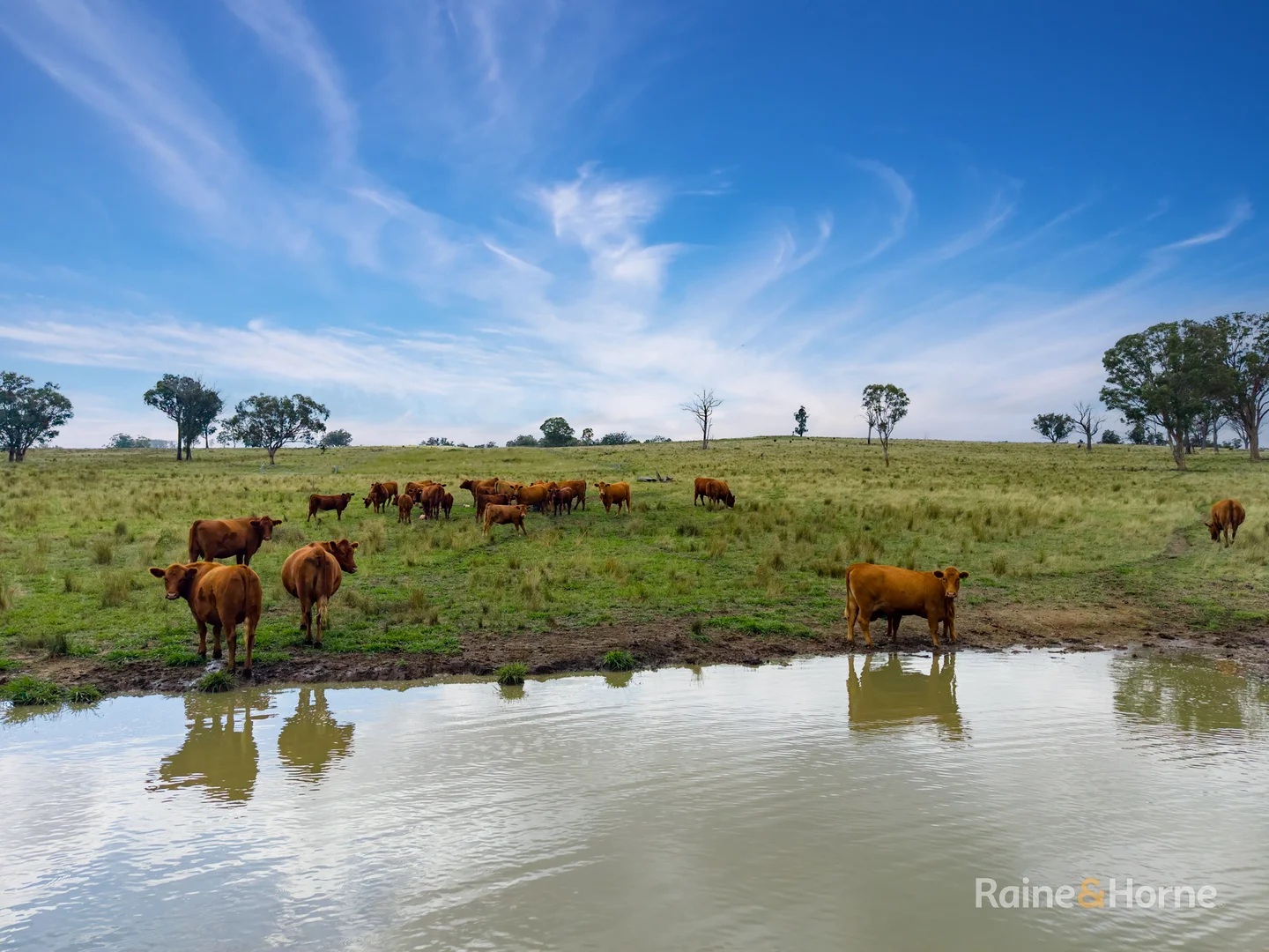 Additional image 11 of 733 Niangala Road, Woolbrook NSW 2354