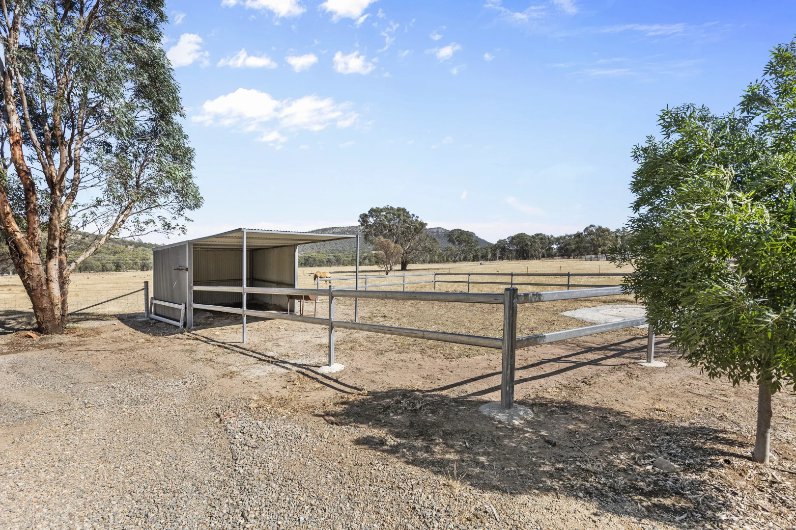 Additional image 32 of 3964 Olympic Highway, The Rock NSW 2655