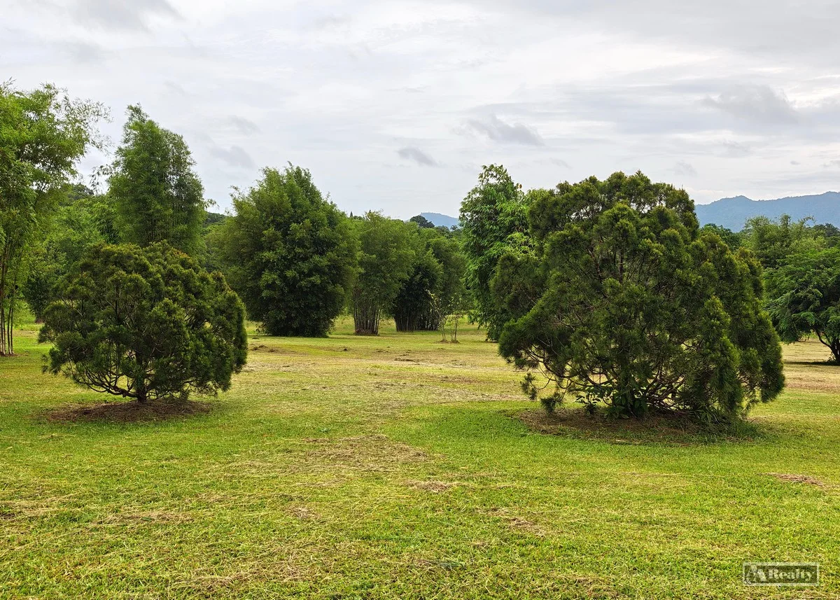 Additional image 10 of Eubenangee QLD 4860