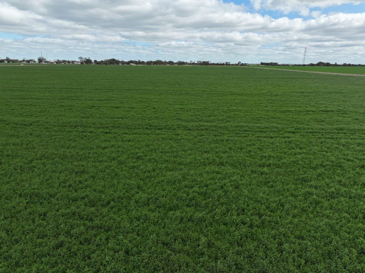 Additional image 22 of - Oneil Street, Pyramid Hill VIC 3575