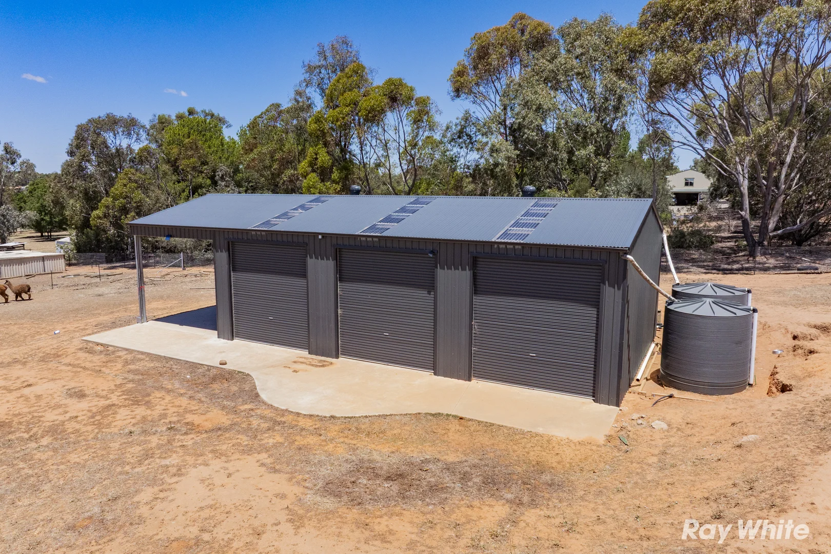 Additional image 23 of 5 Smythe Road, Junee NSW 2663