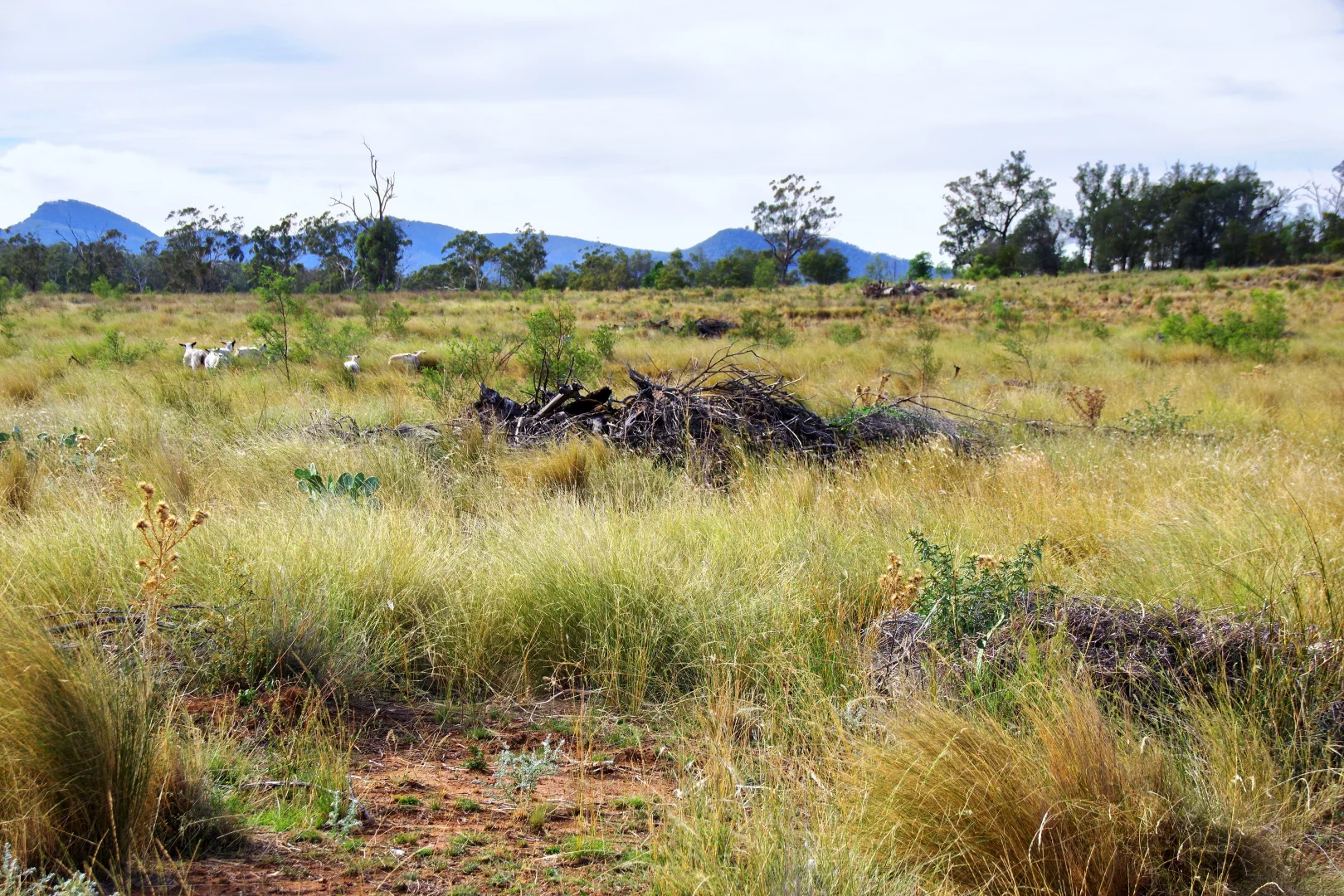 Additional image 27 of 2381. Killarney Gap Road, Narrabri NSW 2390
