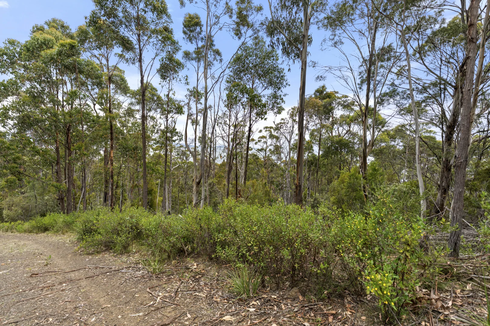 Additional image 14 of 5286 Channel Highway, Gordon TAS 7150