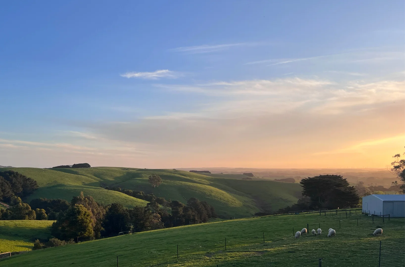 Additional image 22 of Foster VIC 3960