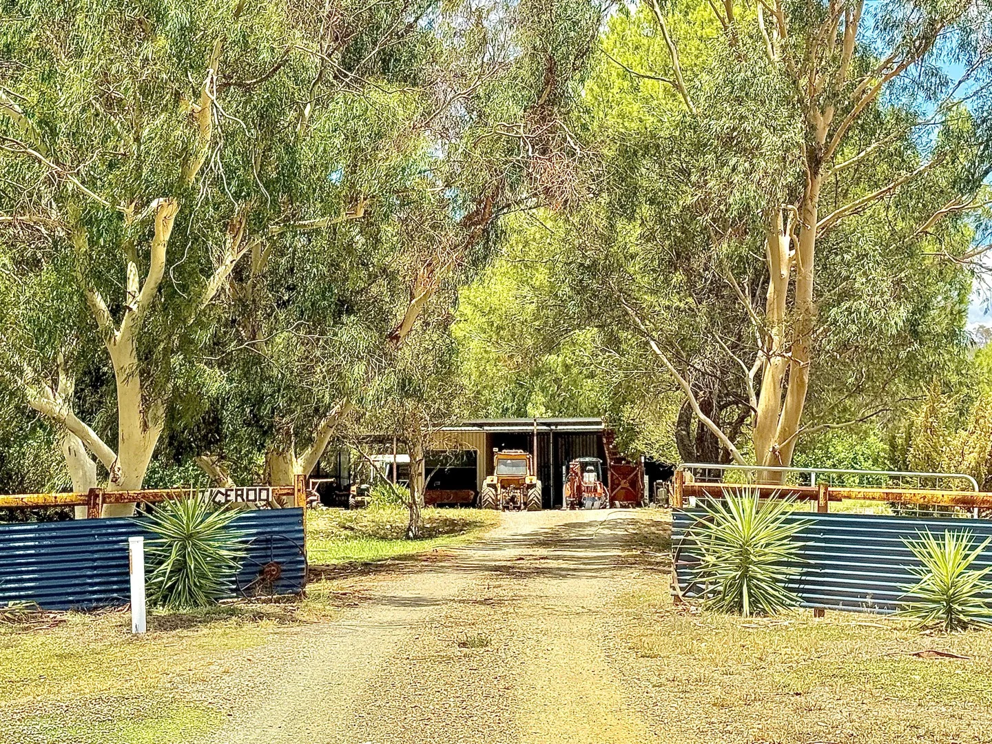 506 North Forbes Rd, Condobolin NSW 2877