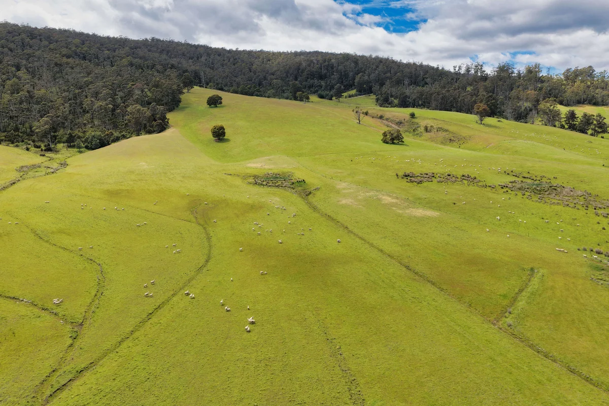 Additional image 3 of 983 Bogan Road, Golden Valley TAS 7304