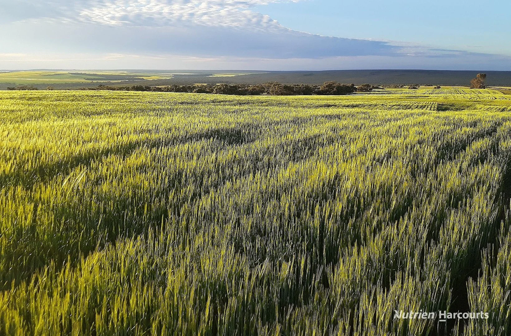 Lot 1 Marchagee Track, Boothendarra WA 6521