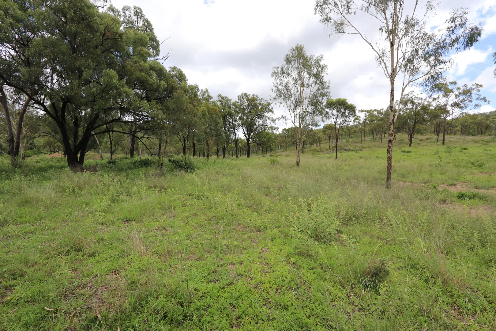 Additional image 17 of 890 Boulder Creek Rd, Boulder Creek QLD 4714