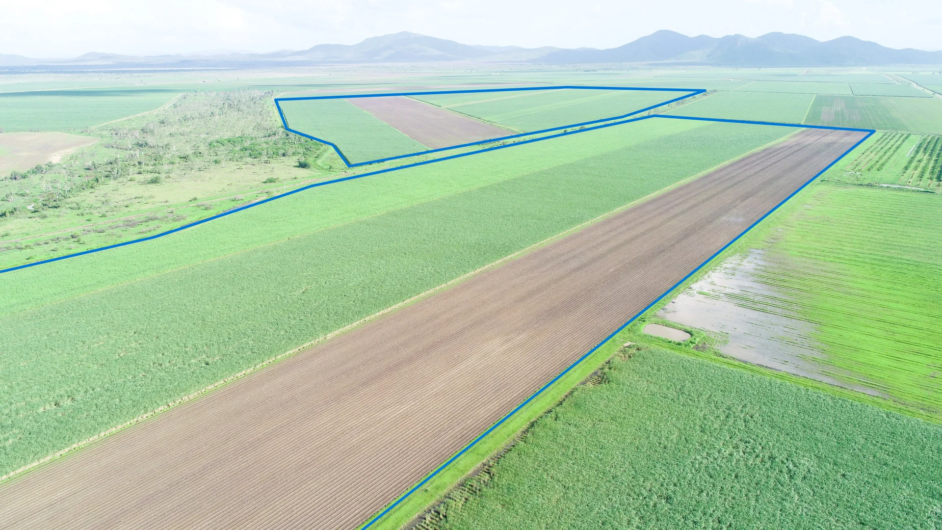 Additional image 8 of Kirknie QLD 4806