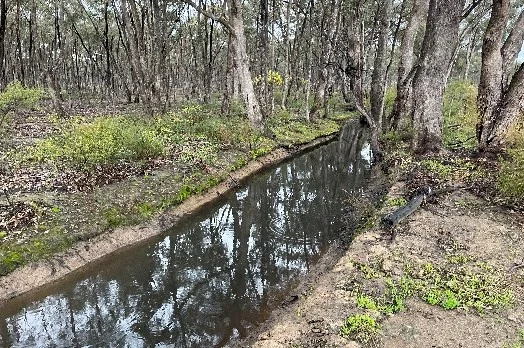 Additional image 3 of _ CA's 32, 33A, 34 & Lot 1 Off Gunyah Track, Wellsford VIC 3551
