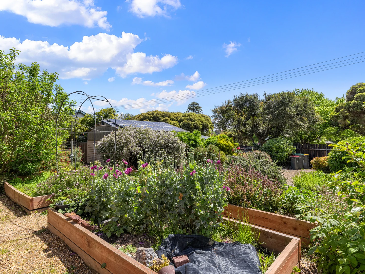 Additional image 17 of 14 Welshpool Rd, Toora VIC 3962