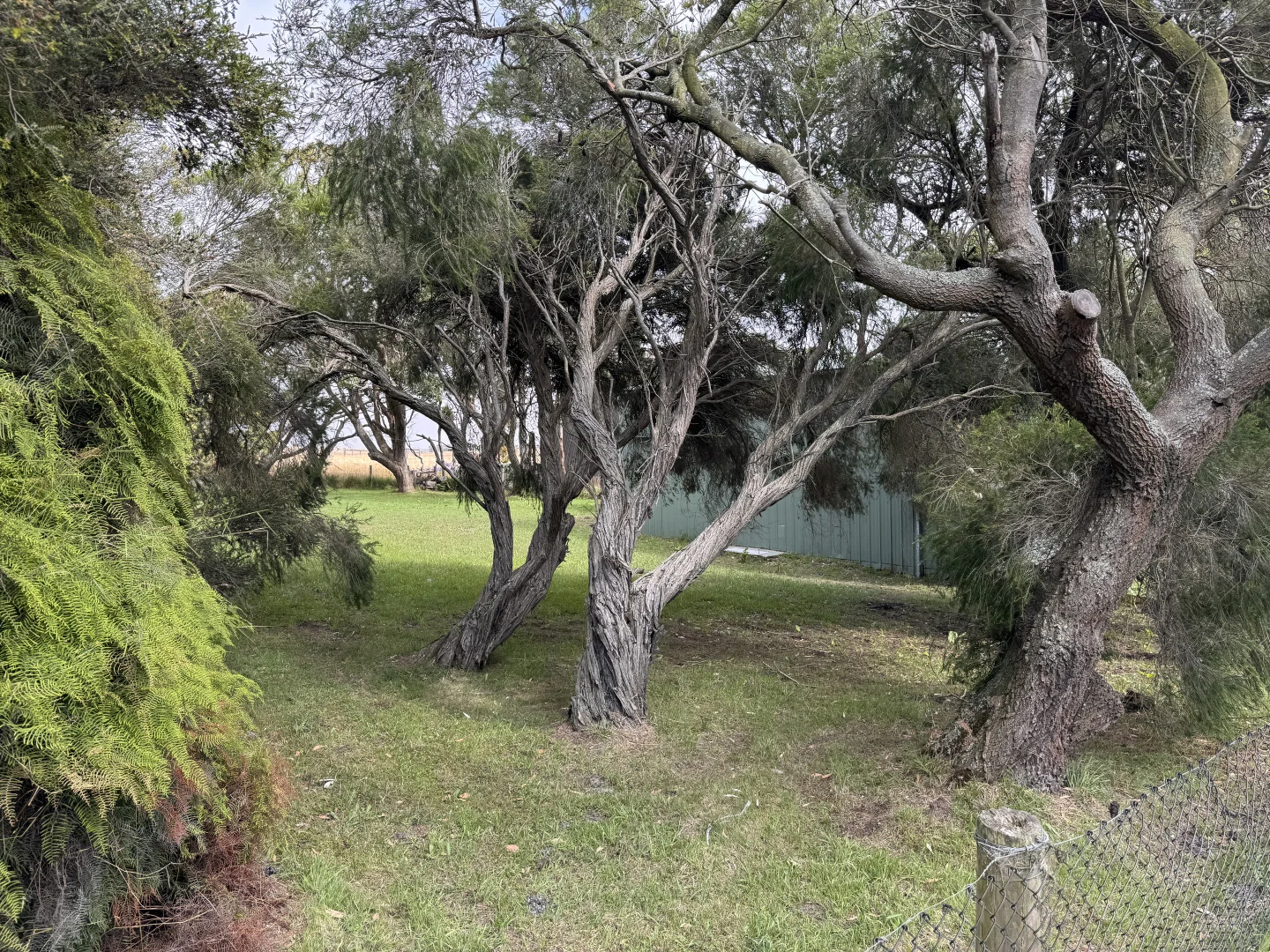 Additional image 2 of 33 Grevillia Street, Walkerville VIC 3956