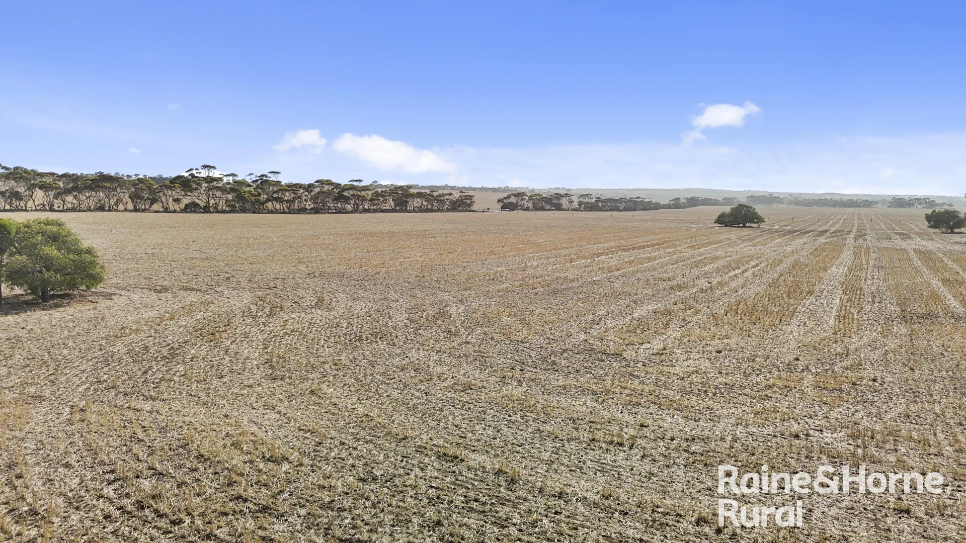 Additional image 10 of A50 Harvey Road, Woodchester SA 5255