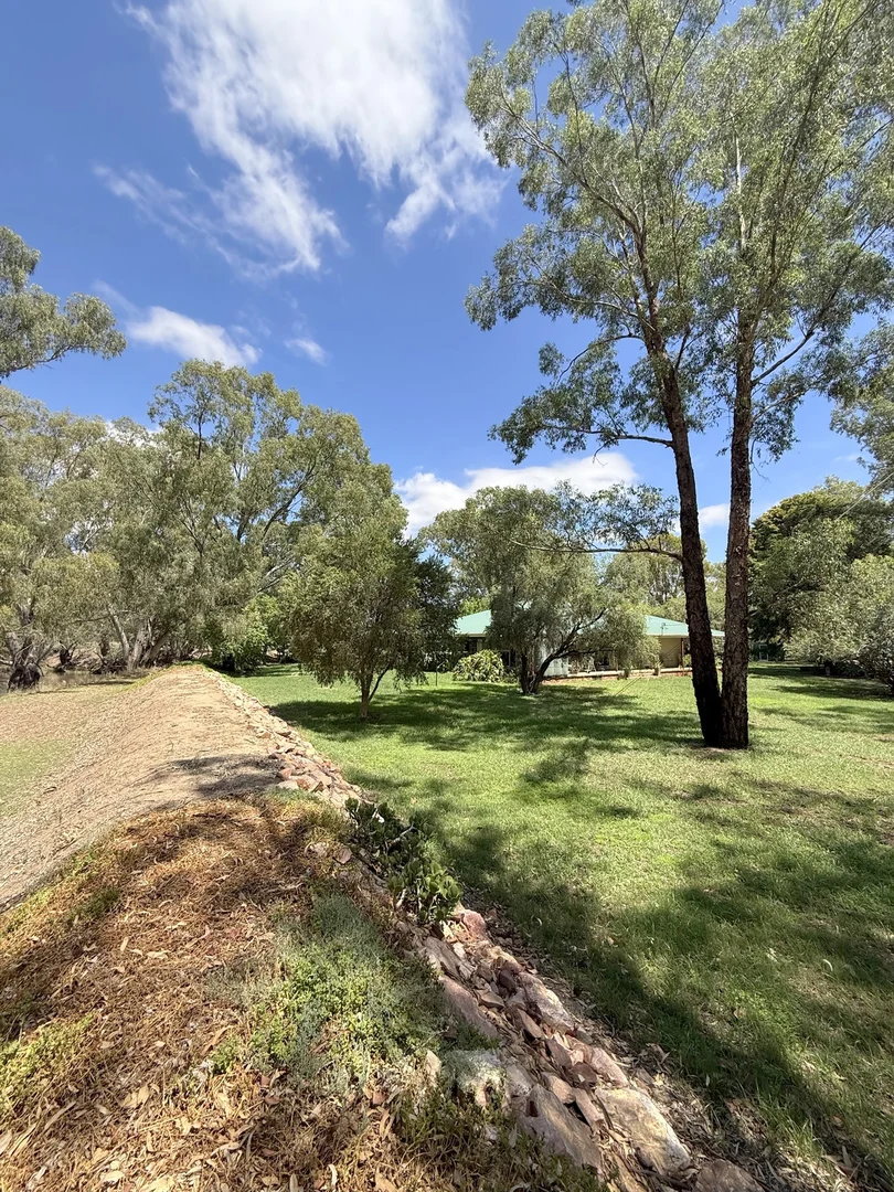 Additional image 64 of 506 North Forbes Rd, Condobolin NSW 2877