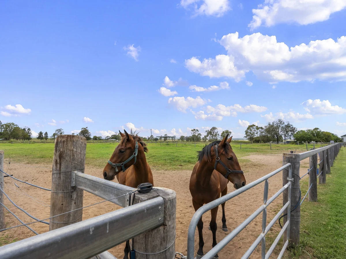 Additional image 47 of 51 Haslingden Road, Lockyer Waters QLD 4311