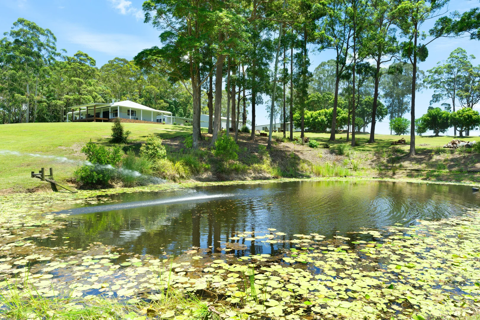 Additional image 4 of 887 Cooloolabin Road, Cooloolabin QLD 4560