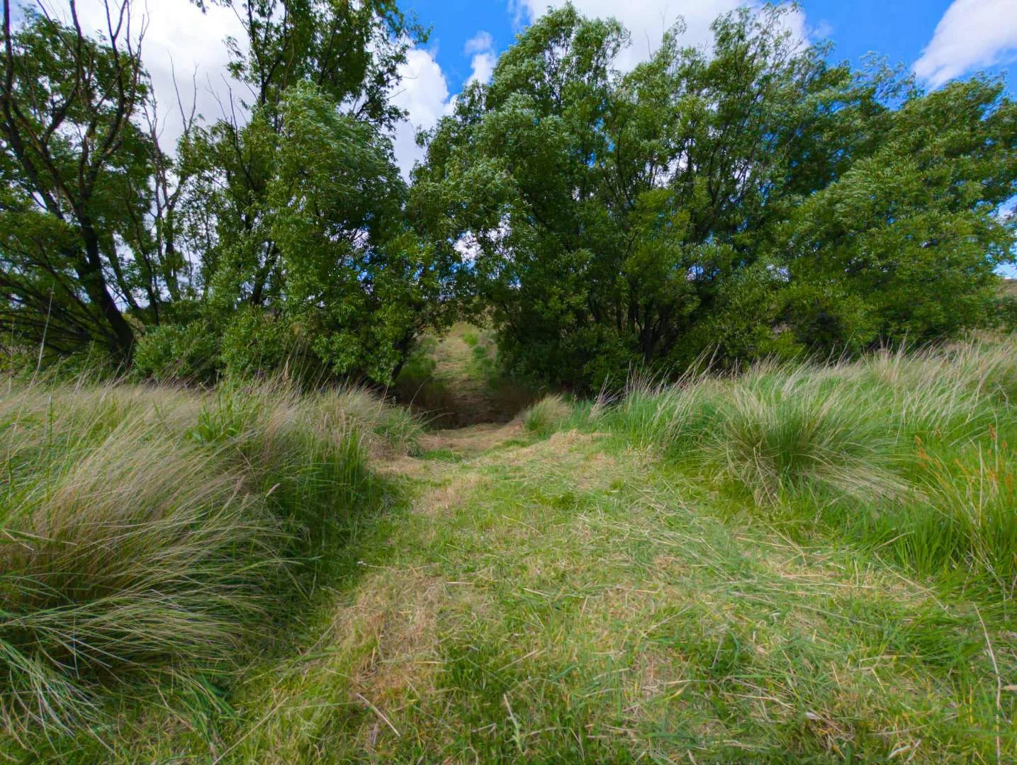 Additional image 7 of 83 Shinglehouse Road, Bywong NSW 2621