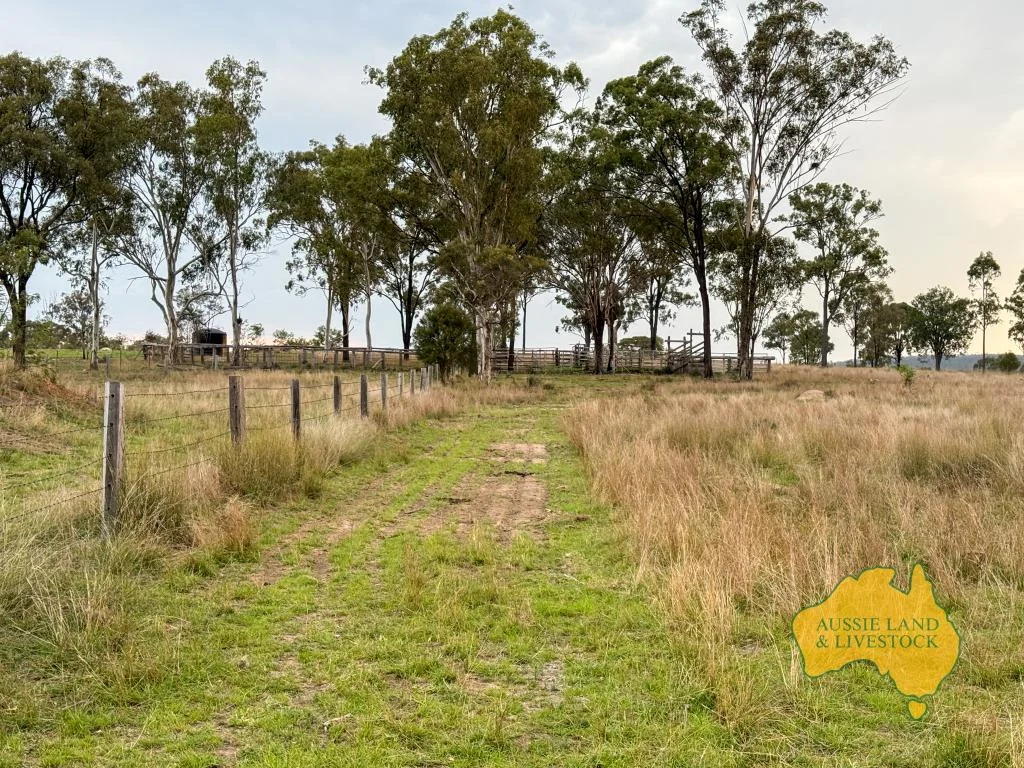 Additional image 18 of 373 Ormonde Road, Monogorilby QLD 4626