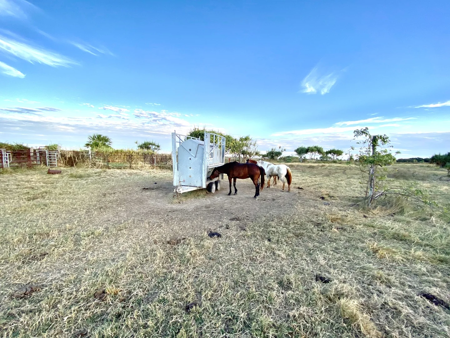 Additional image 10 of 118 Pyott Road, Airdmillan QLD 4807