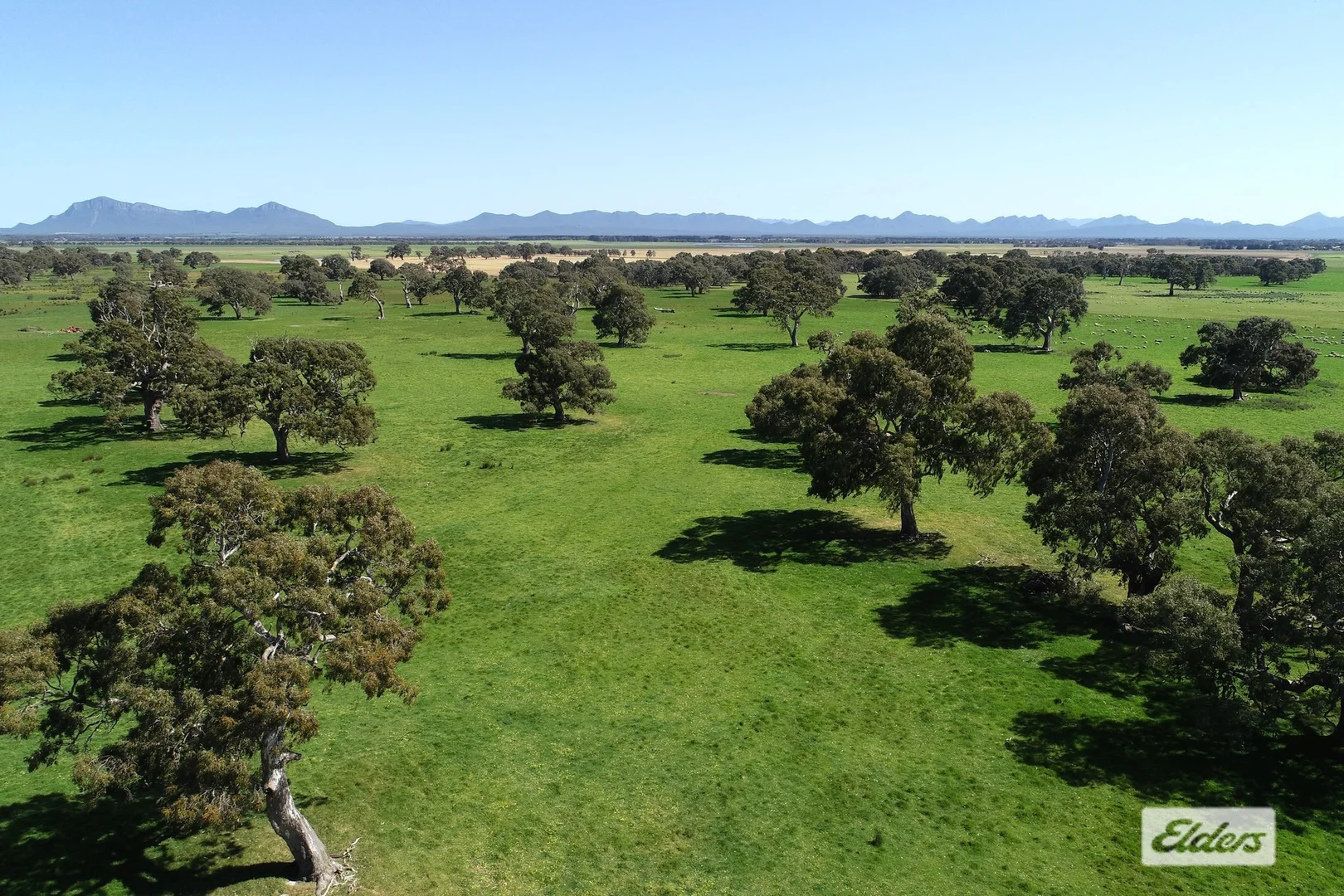 Additional image 5 of CA 91a 91b Mitchell Street, Glenthompson VIC 3293