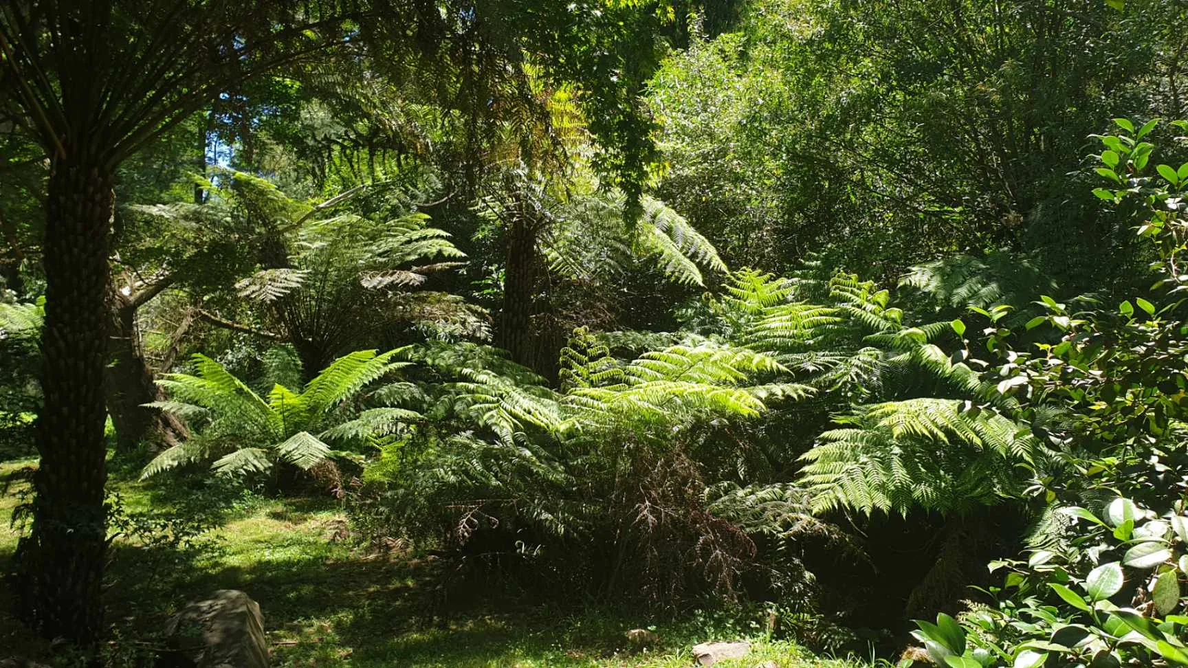 Additional image 7 of 175 Denhams Road, Hallston VIC 3953