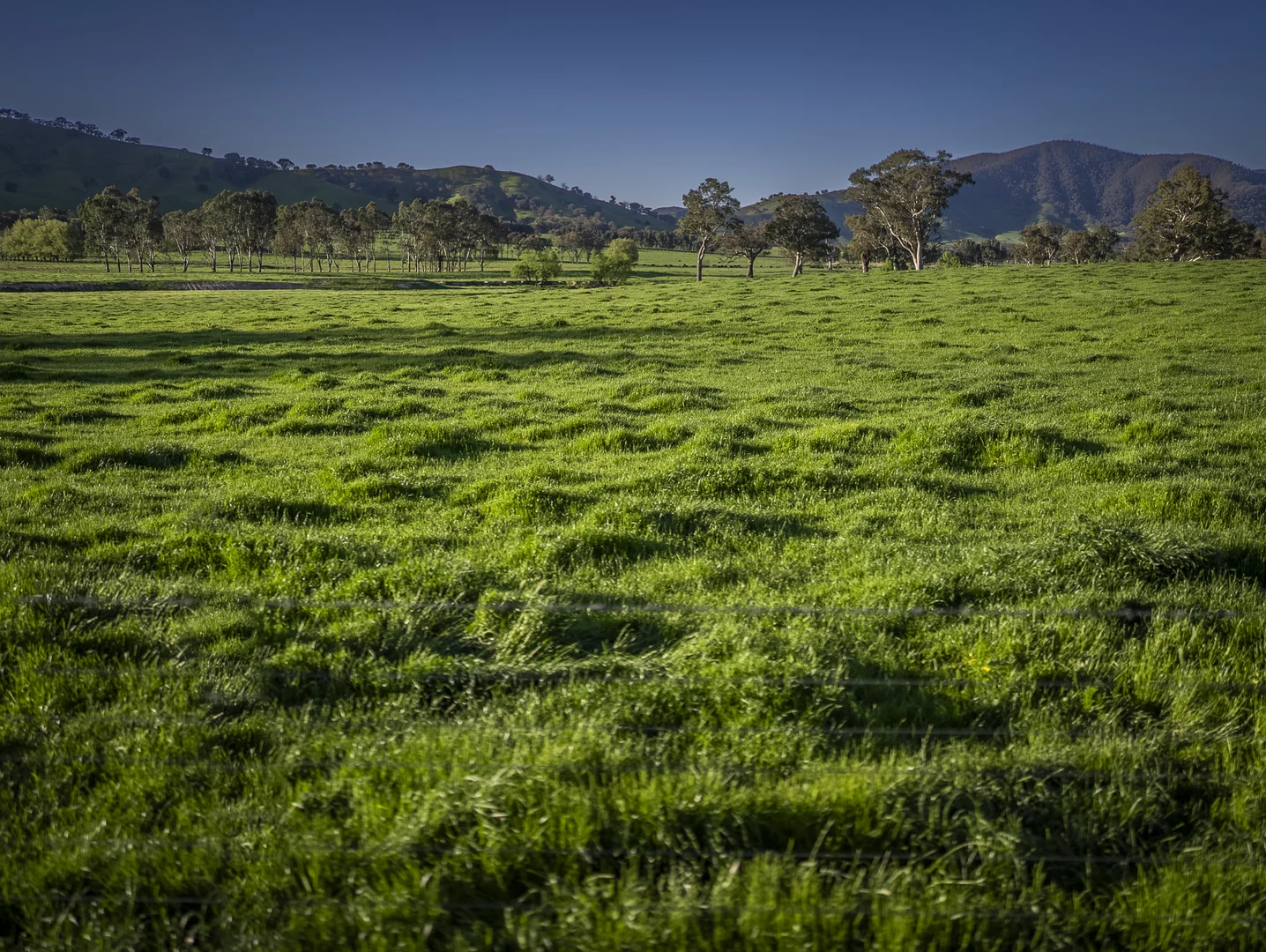 Additional image 2 of 3091 Shelley Road, Walwa VIC 3709