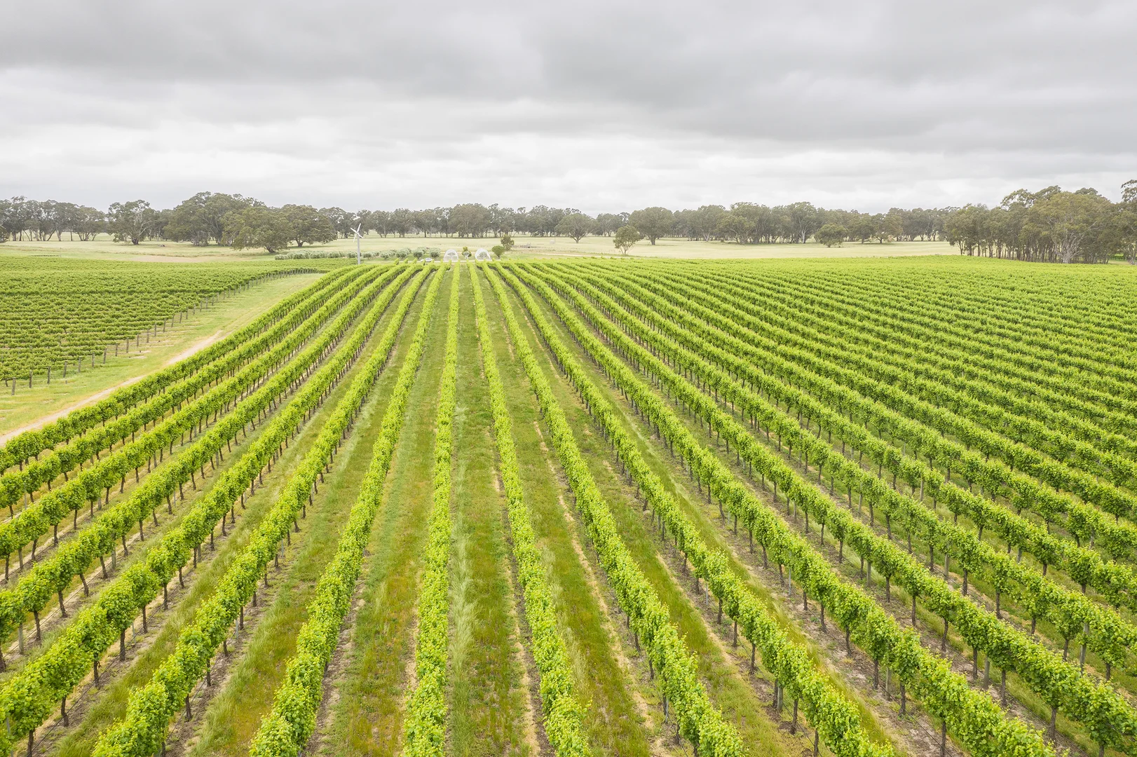 Additional image 6 of Nolans Road, Hynam SA 5262