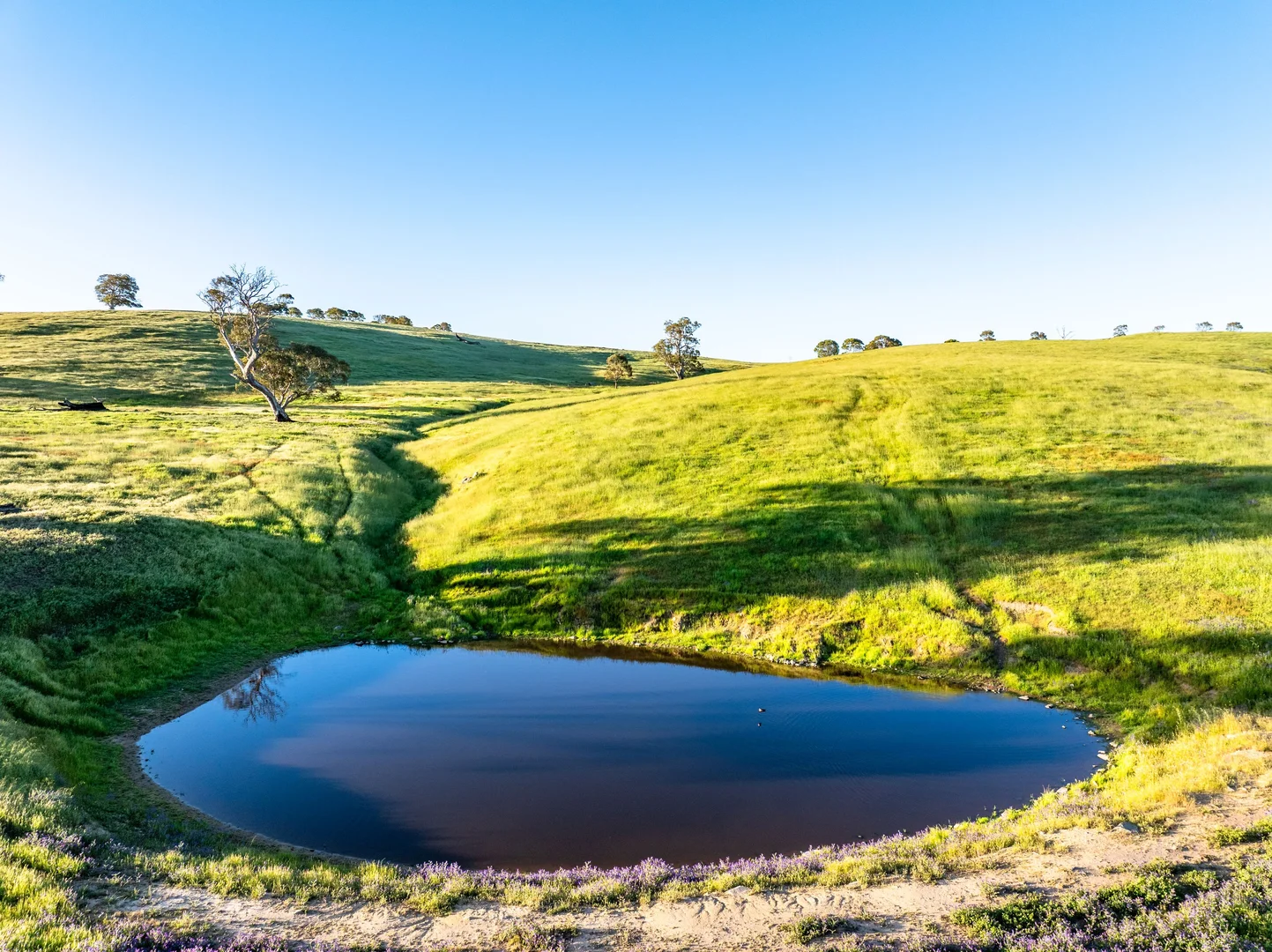 Additional image 8 of 312 Collins Road, Tungkillo SA 5236