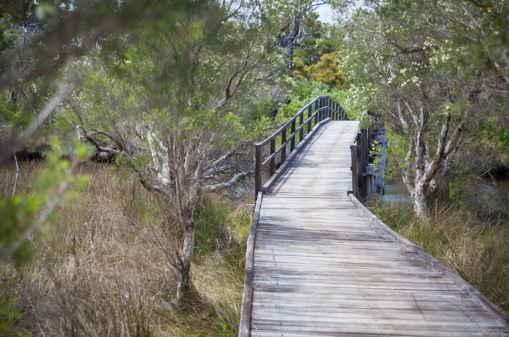 Additional image 41 of 63 karri street, Walpole WA 6398