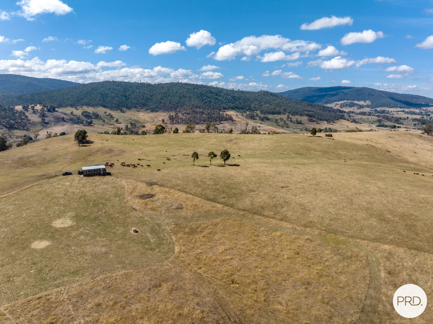 Additional image 37 of 1100 Batlow Road, Tumbarumba NSW 2653