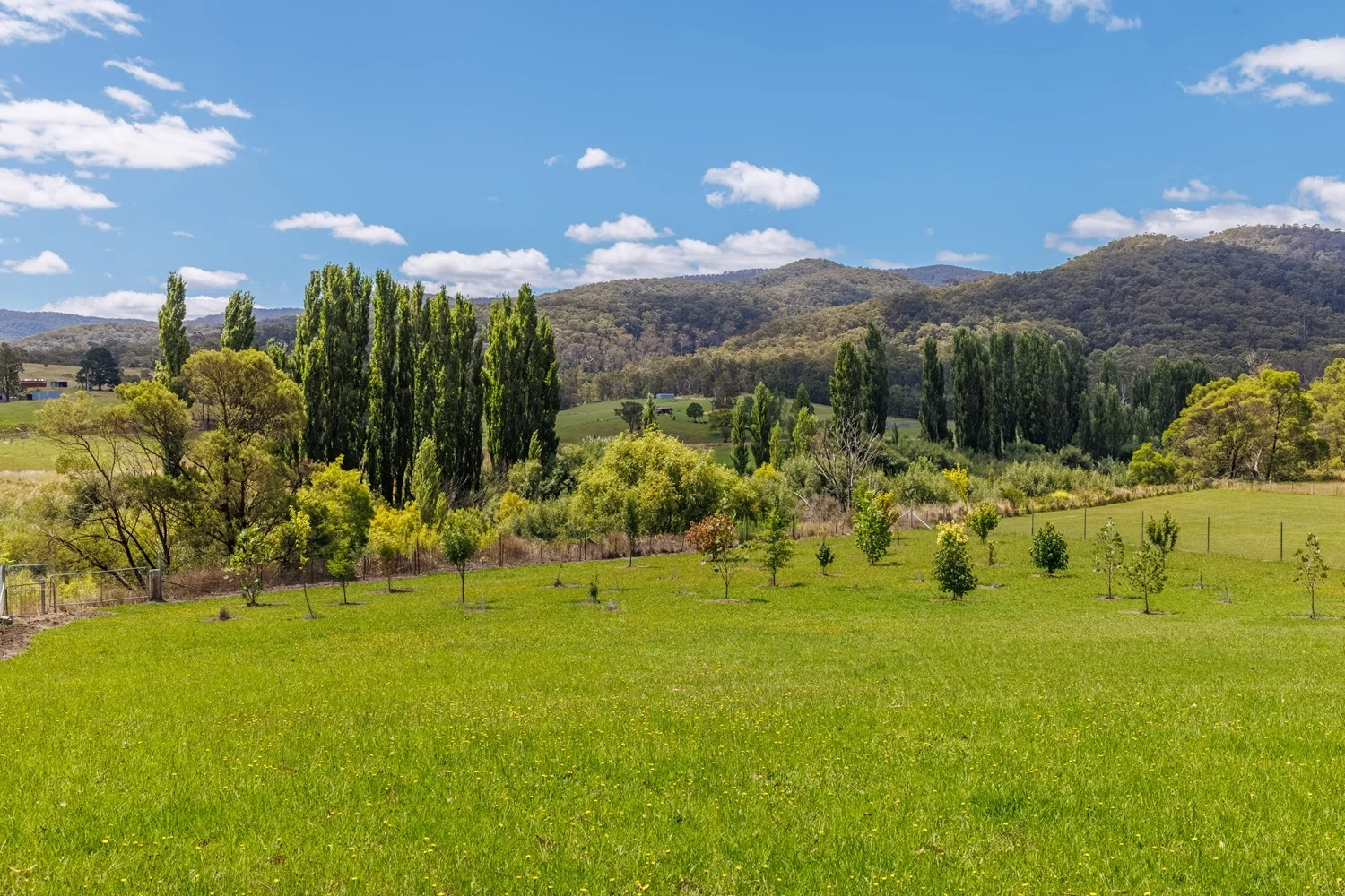 Additional image 4 of 11 Towamba St, Towamba NSW 2550